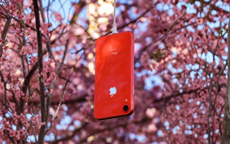 A free iPhone SE is not distributed directly by the federal government (Image by Pexels)